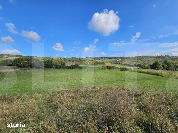 Teren de 4200 mp, în Cața