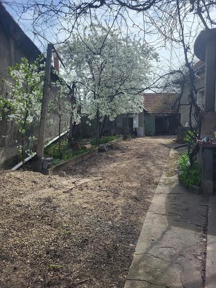Casă cu Teren 2800 Mp în Central