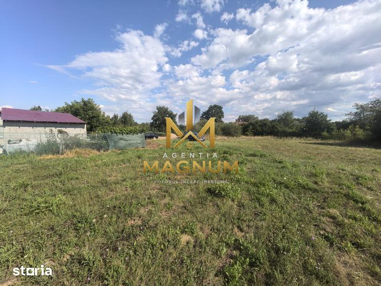 Teren de 600 mp, în Tăuții-Măgherăuș