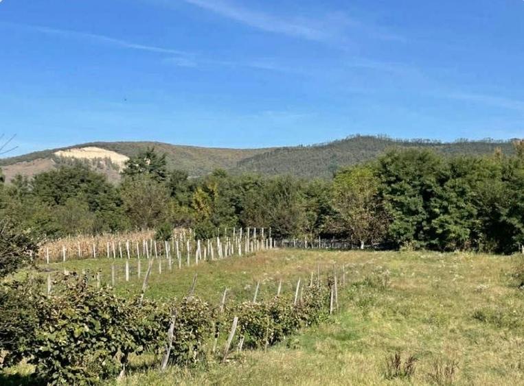 Casă cu 3 camere în Țapu