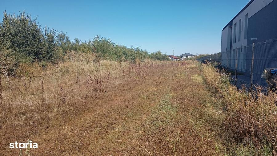 DE VANZARE TEREN INTRAVILAN 4000 (2000) MP LOC.1 DECEMBRIE (ILFOV) - 7