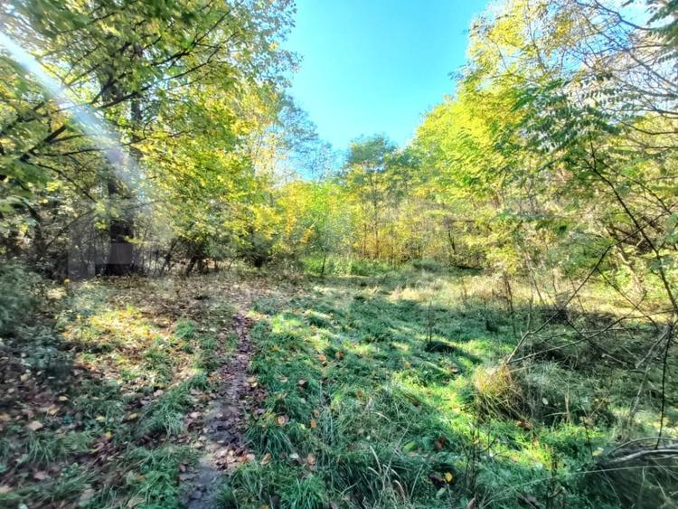 Teren Construcții intravilan de 3600 mp, în Bascov