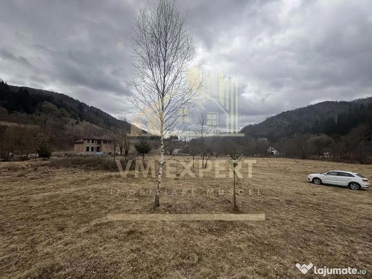 TEREN INTRAVILAN 500 MP SATIC- RUCAR - 8