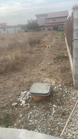 Spațiu comercial, în Schitu