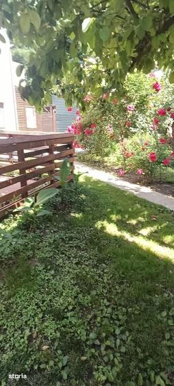 Apartament doua camere/padurea Andronache - 16