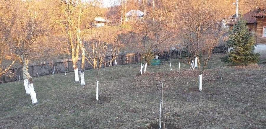 Teren de 7582 mp, în Cosmina de Jos