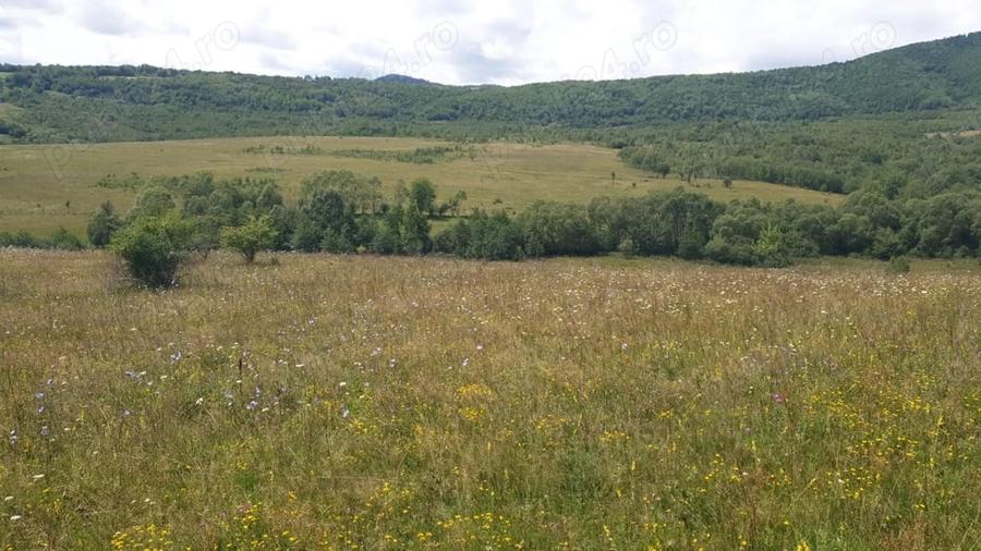 Teren de 500 mp, în Sălicea