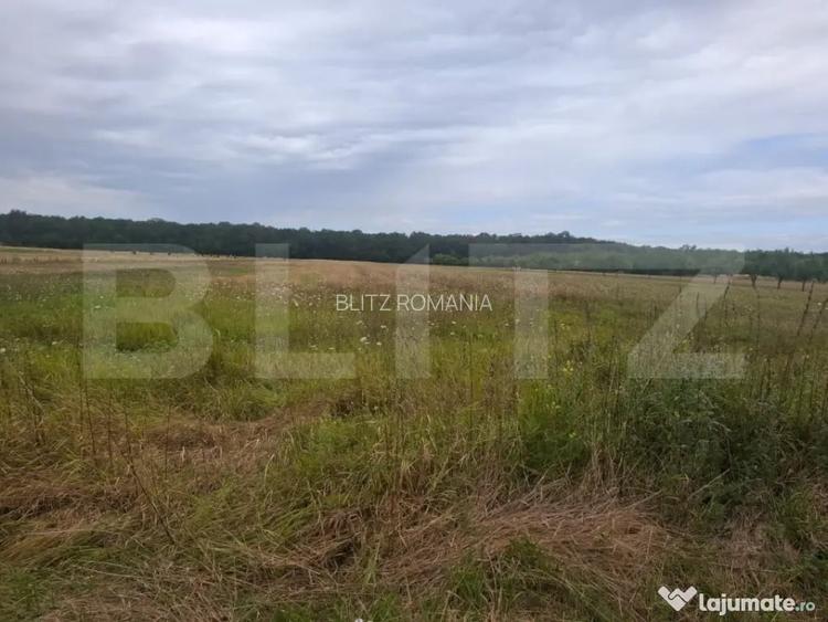 Teren de vanzare, 2.500 mp, Suta Olteni - Suta Seaca (Dambovita)