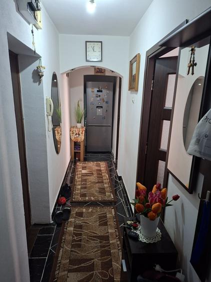 Apartament cu 3 camere în Podari