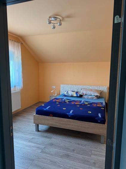 Casă individuală cu 4 camere cu Garaj în Sânandrei