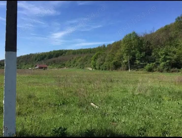 Teren de 1700 mp, în Bascov
