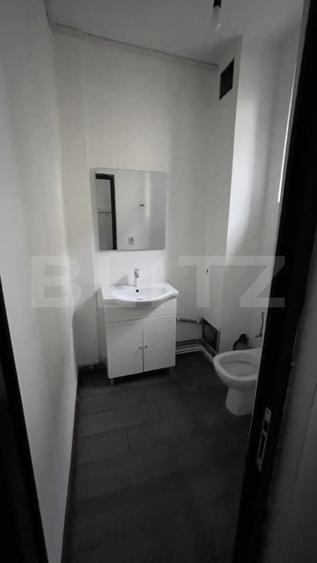 Birou, de 376 mp, în Frații Golești