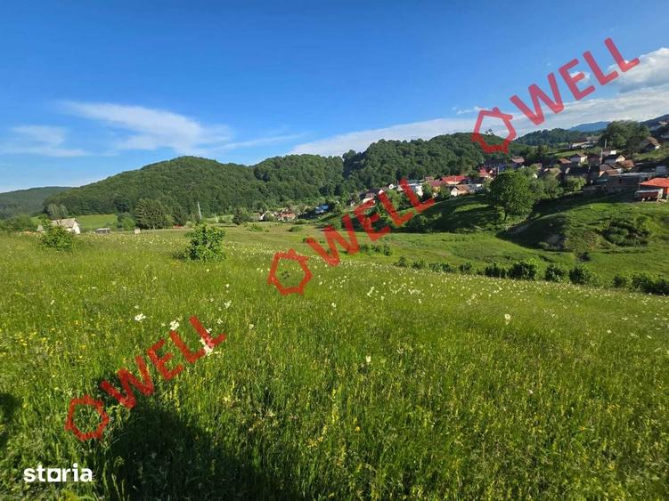 Teren de 8163 mp, în Vama Buzăului