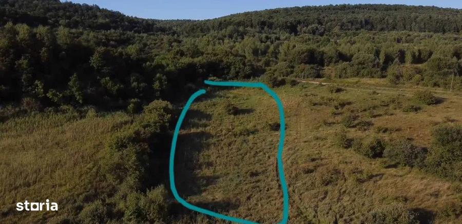 Teren de 5000 mp, în Feleacu