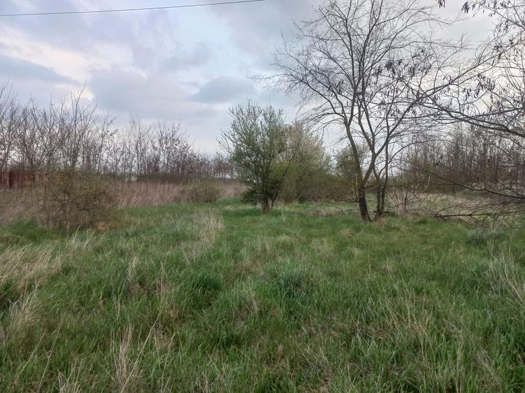 Teren agricol intravilan de 10568 mp, în Snagov