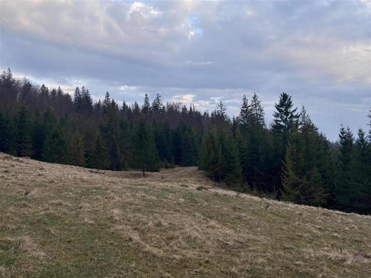 Teren intravilan de 1000 mp, în Văleni-Stânișoara