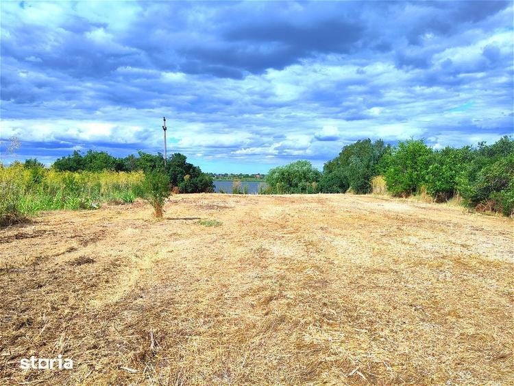 Teren intravilan 1.600 mp Crevedia | Deschidere lac | Ideal dezvoltare - 4