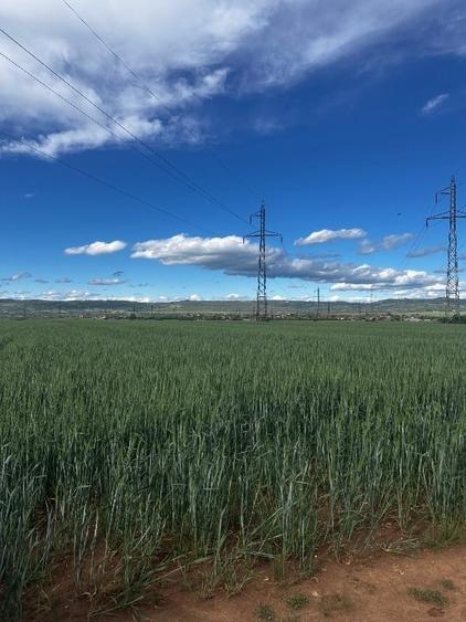 Teren agricol extravilan de 5001 mp, în Șimian