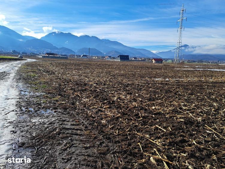 Teren de 3500 mp, în Movilei