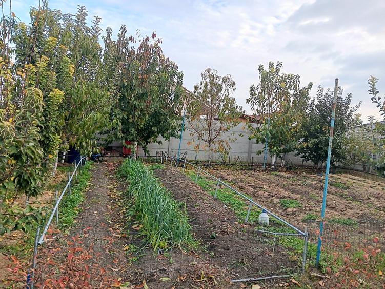 Casă individuală cu 3 camere cu Teren 700 Mp în Sânandrei
