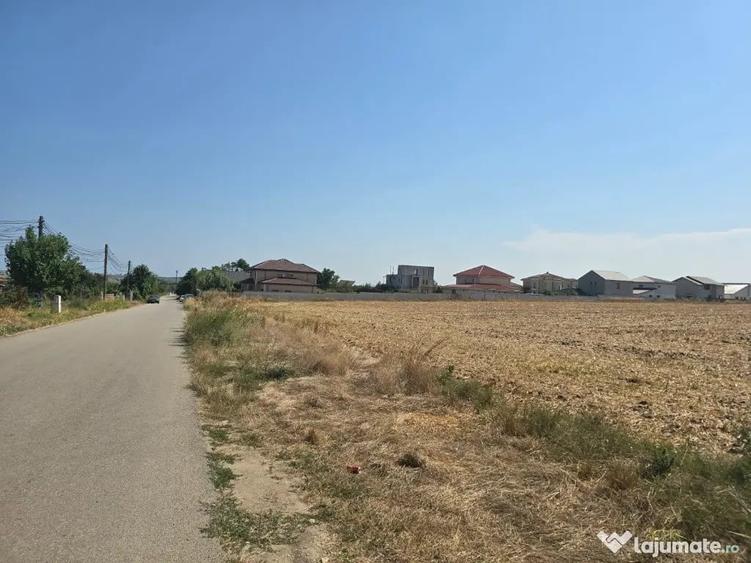 Teren de vanzare in Lazu - 8