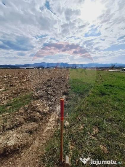 Teren în Central