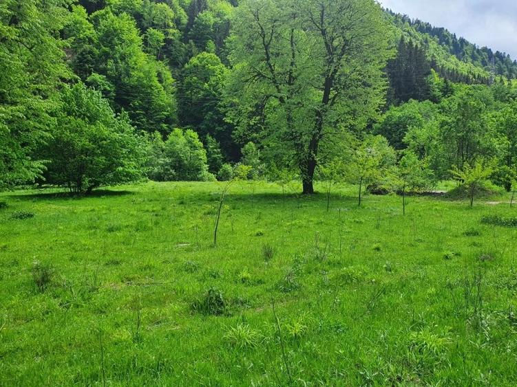 Teren Construcții intravilan de 20217 mp, în Exterior Sud