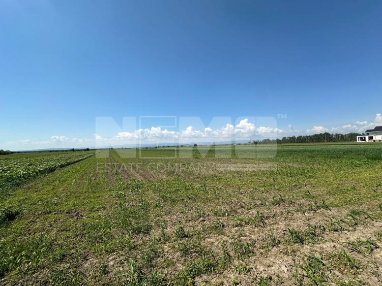 Teren agricol extravilan de 5300 mp, în Frătăuții Vechi