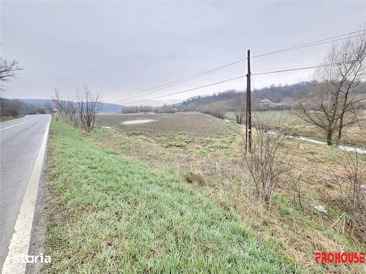 Teren de 3500 mp, în Scorțeni