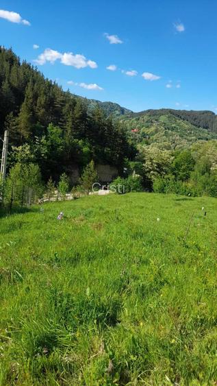 Teren 4000 mp cu utilitati ideal cabane / investitie Muntii Buzaului (Lopatari)
