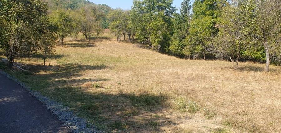 Teren de 4780 mp, în Fornădia