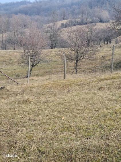 Teren de 4200 mp, în Drajna