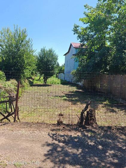 Teren de 600 mp, în Jilava