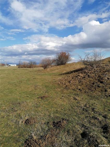 Teren de 3800 mp, în Crizbav