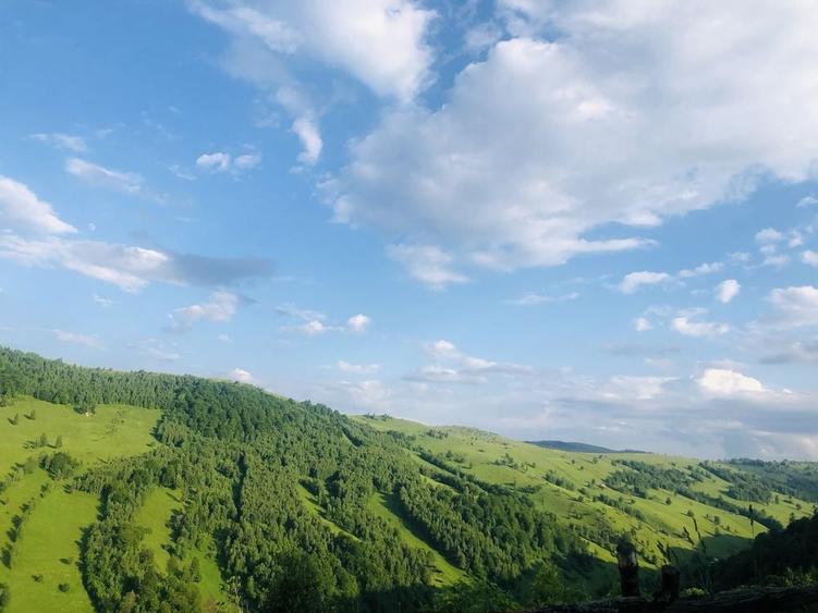Teren de 120000 mp, în Baciu
