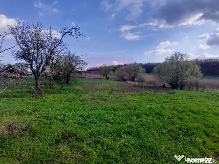 Teren în Buturugeni
