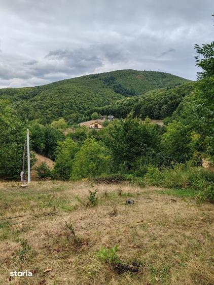 Teren de 6476 mp, în Tăuții-Măgherăuș