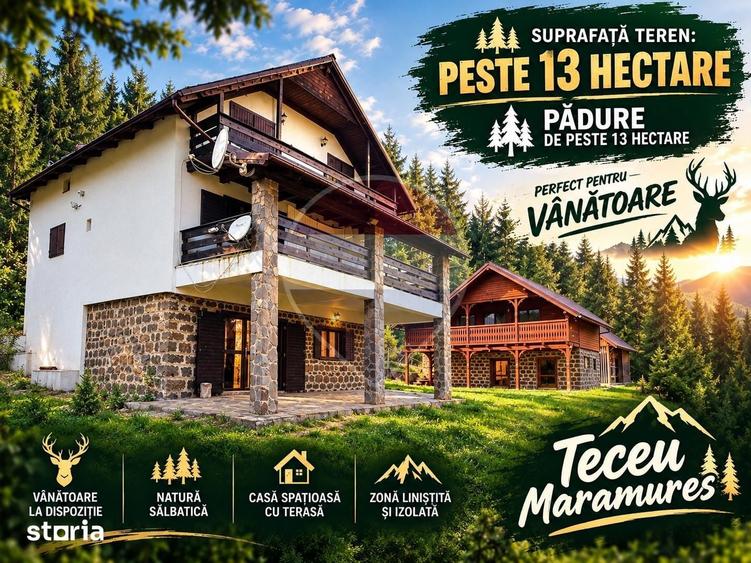 Spațiu comercial, de 280 mp, în Remeți