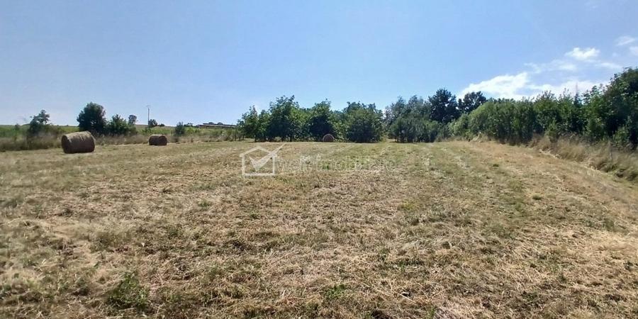 Casa in Comsesti cu teren intravilan 1800mp, acces bun - 9