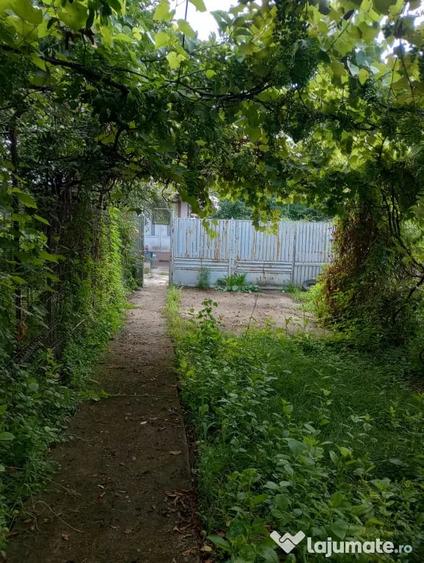 Casă cu 3 camere în Hăbud