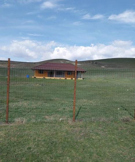 Casa de Vanzare Boldut - 5