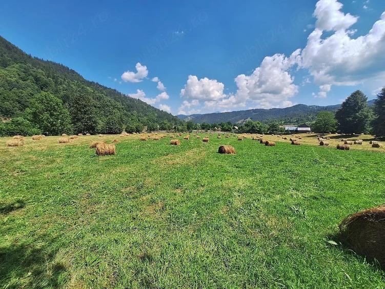 Teren de 18200 mp, în Tulgheș