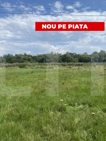 Teren de 1000 mp, în Central