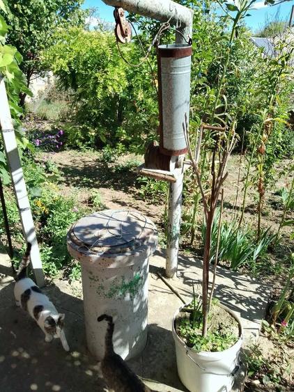 Casă cu 5 camere cu Teren 2040 Mp în Lipnița