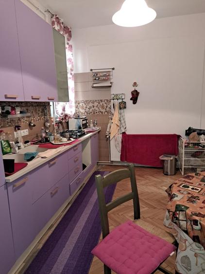 Pache Protopopescu: Apartament 2 camere parter de vilă cu grădină/curte - 1