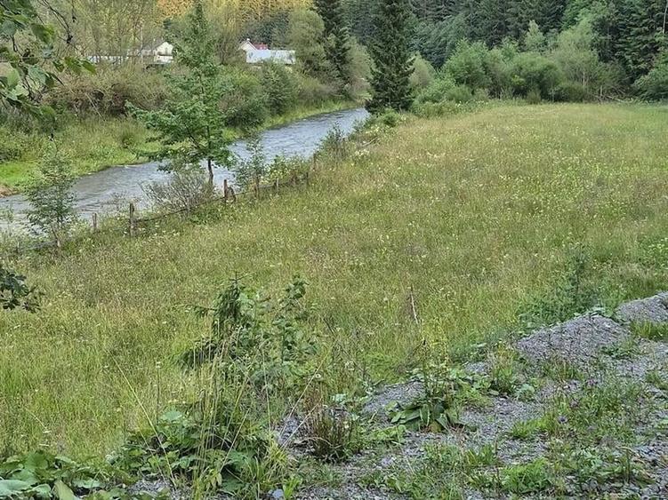 Teren agricol intravilan de 7400 mp, în Colacu