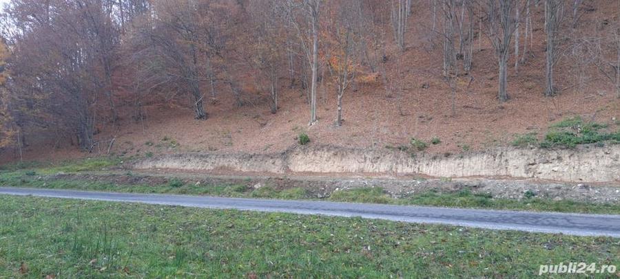 Teren de 9310 mp, în Poiana Mărului