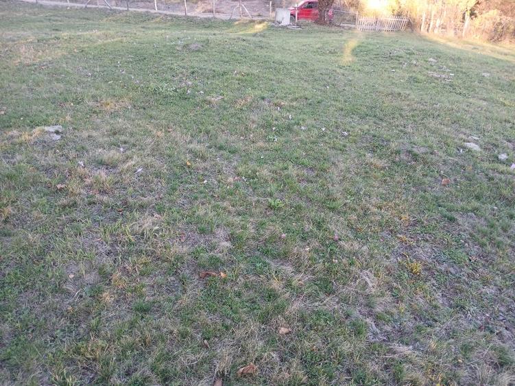 Teren Construcții intravilan de 4377 mp, în Brăduleț