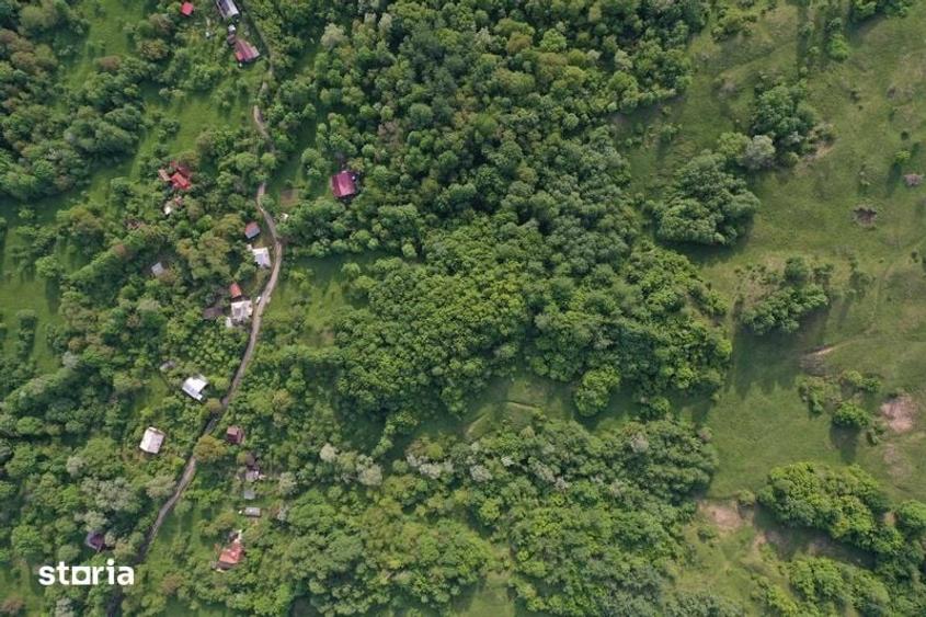Teren de 5500 mp, în Provița de Sus