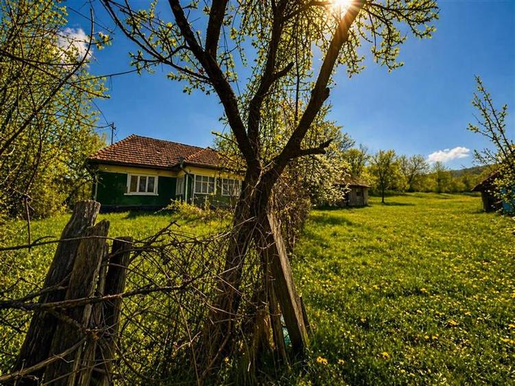 Casa traditionala,zona pitoreasca,domeniu de 3.400 mp,Suveica,Acatari,Mures - 8
